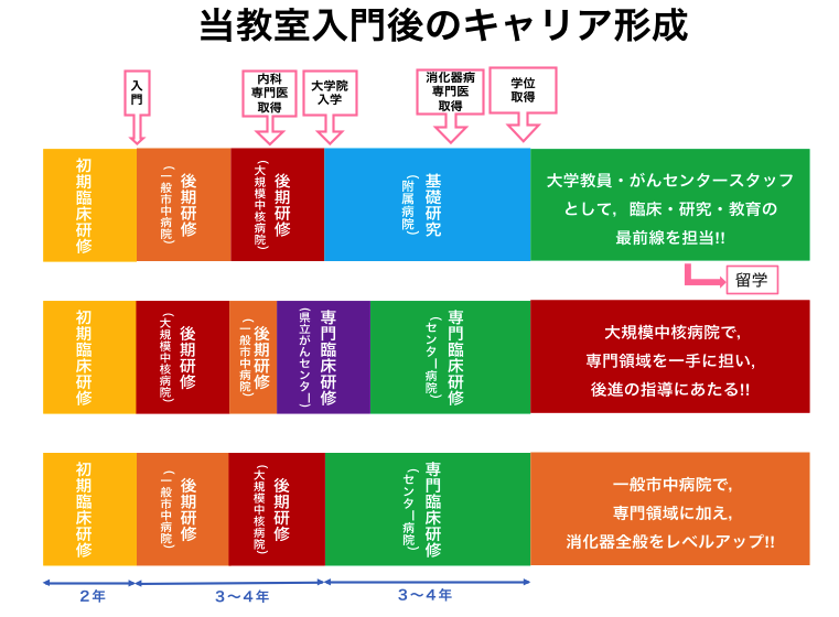 当教室入門後のキャリア形成