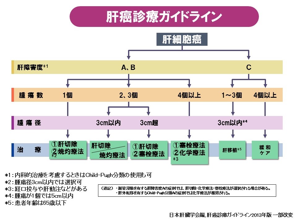 肝癌診療ガイドライン